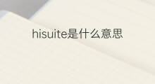 hisuite是什么意思 hisuite的中文翻译、读音、例句