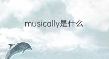 musically是什么意思 musically的中文翻译、读音、例句