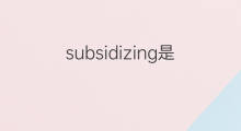 subsidizing是什么意思 subsidizing的中文翻译、读音、例句