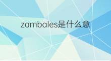 zambales是什么意思 zambales的中文翻译、读音、例句
