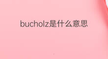 bucholz是什么意思 bucholz的中文翻译、读音、例句