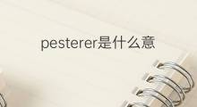 pesterer是什么意思 pesterer的中文翻译、读音、例句