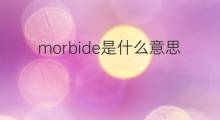 morbide是什么意思 morbide的中文翻译、读音、例句