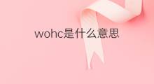 wohc是什么意思 wohc的中文翻译、读音、例句