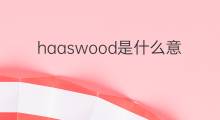 haaswood是什么意思 haaswood的中文翻译、读音、例句
