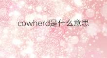 cowherd是什么意思 cowherd的中文翻译、读音、例句
