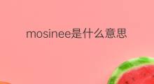 mosinee是什么意思 mosinee的中文翻译、读音、例句