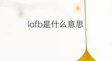 lafb是什么意思 lafb的中文翻译、读音、例句