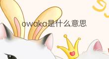 owaka是什么意思 owaka的中文翻译、读音、例句