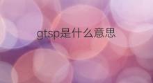 gtsp是什么意思 gtsp的中文翻译、读音、例句