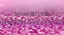 ferraris是什么意思 ferraris的中文翻译、读音、例句