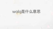 walq是什么意思 walq的中文翻译、读音、例句