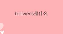 boliviens是什么意思 boliviens的中文翻译、读音、例句