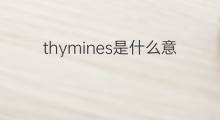 thymines是什么意思 thymines的中文翻译、读音、例句
