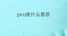 pira是什么意思 pira的中文翻译、读音、例句