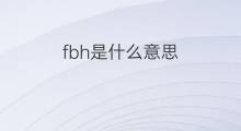 fbh是什么意思 fbh的中文翻译、读音、例句