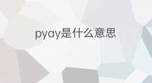 pyay是什么意思 pyay的中文翻译、读音、例句