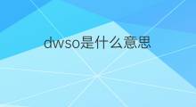 dwso是什么意思 dwso的中文翻译、读音、例句