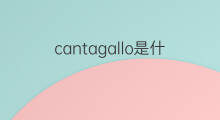 cantagallo是什么意思 cantagallo的中文翻译、读音、例句