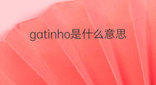 gatinho是什么意思 gatinho的中文翻译、读音、例句