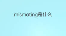 mismating是什么意思 mismating的中文翻译、读音、例句