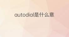 autodial是什么意思 autodial的中文翻译、读音、例句