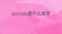 zoccolo是什么意思 zoccolo的中文翻译、读音、例句