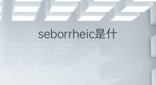 seborrheic是什么意思 seborrheic的中文翻译、读音、例句