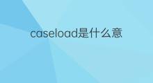 caseload是什么意思 caseload的中文翻译、读音、例句