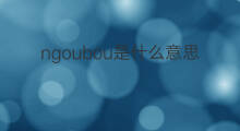 ngoubou是什么意思 ngoubou的中文翻译、读音、例句