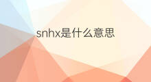 snhx是什么意思 snhx的中文翻译、读音、例句