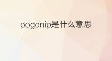 pogonip是什么意思 pogonip的中文翻译、读音、例句