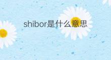 shibor是什么意思 shibor的中文翻译、读音、例句