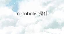 metabolist是什么意思 metabolist的中文翻译、读音、例句