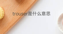 trouser是什么意思 trouser的中文翻译、读音、例句
