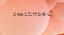 ciruela是什么意思 ciruela的中文翻译、读音、例句
