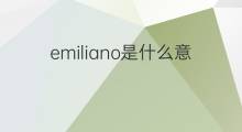 emiliano是什么意思 emiliano的中文翻译、读音、例句