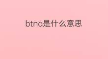 btna是什么意思 btna的中文翻译、读音、例句