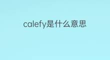 calefy是什么意思 calefy的中文翻译、读音、例句