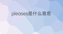 pleases是什么意思 pleases的中文翻译、读音、例句