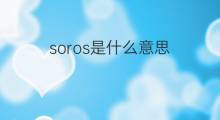 soros是什么意思 soros的中文翻译、读音、例句