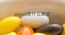 poval是什么意思 poval的中文翻译、读音、例句