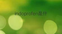 indoprofen是什么意思 indoprofen的中文翻译、读音、例句
