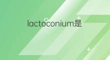 lactoconium是什么意思 lactoconium的中文翻译、读音、例句