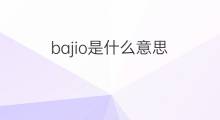 bajio是什么意思 bajio的中文翻译、读音、例句
