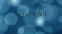 montagrier是什么意思 montagrier的中文翻译、读音、例句