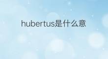 hubertus是什么意思 英文名hubertus的翻译、发音、来源