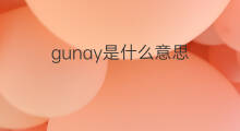gunay是什么意思 gunay的中文翻译、读音、例句