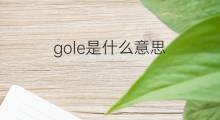 gole是什么意思 gole的中文翻译、读音、例句