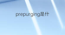 prepurging是什么意思 prepurging的中文翻译、读音、例句
